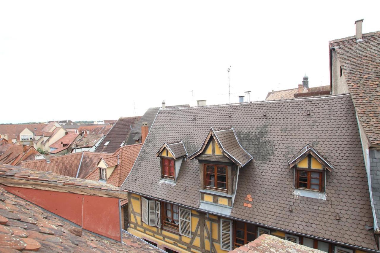 Colmar City Center - Appartement Petit Ours - Bookingalsace エクステリア 写真