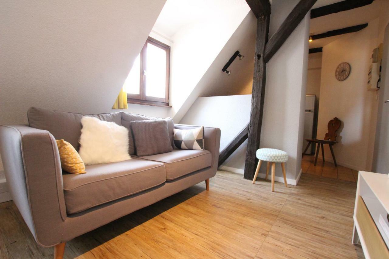 Colmar City Center - Appartement Petit Ours - Bookingalsace エクステリア 写真